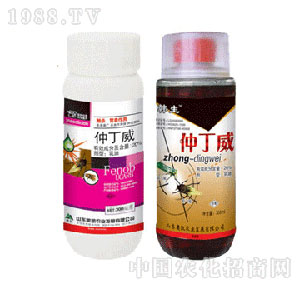 �W�P-20%�ٶ���