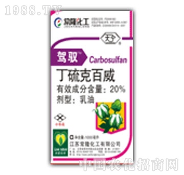 ��¡-����˰���