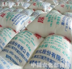 �ڻ�-����