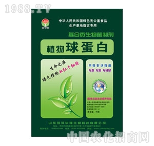 ���A��-ֲ���򵰰�