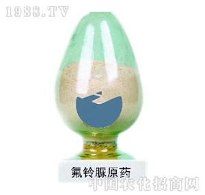 �n��-�����ԭˎ