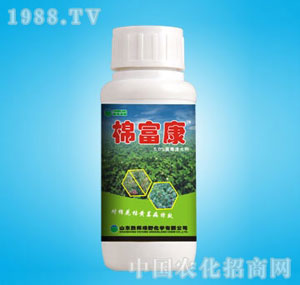 �ٰ�-�޸���