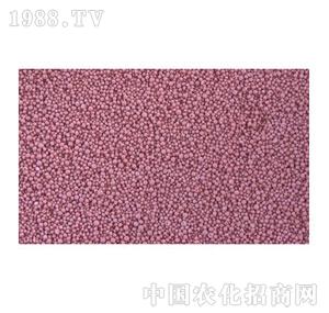 ����-�����t�w��