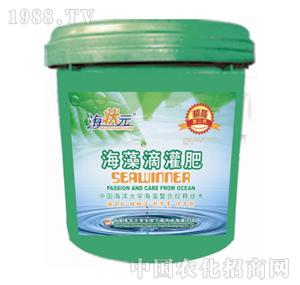 ����Ԫ-�ι��