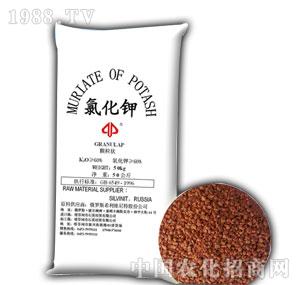 ʯӢ-�Ȼ���w��