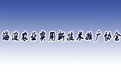 �����к����r(n��ng)�I(y��)�����¼��g(sh��)�ƏV�f(xi��)��