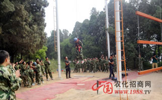 火爆網(wǎng)絡(luò)拓展訓(xùn)練之高空斷橋