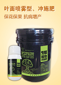 ����ֲ��Ƽ����޹�˾